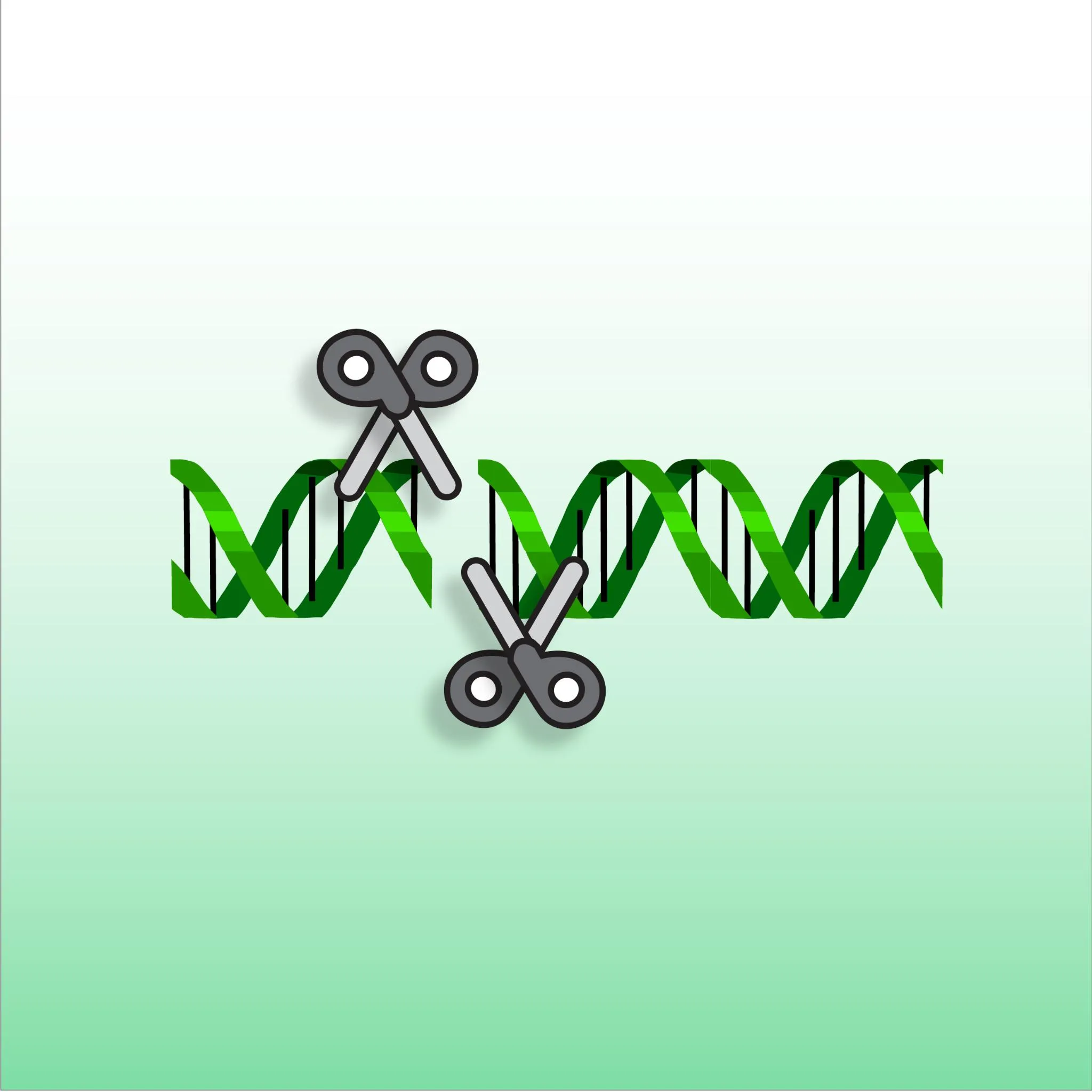 Transposons and genome integrity